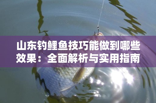 山东钓鲤鱼技巧能做到哪些效果：全面解析与实用指南