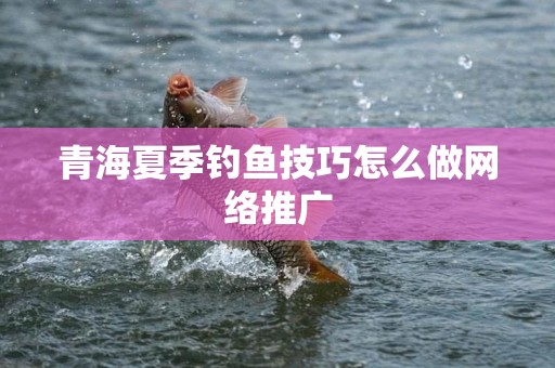 青海夏季钓鱼技巧怎么做网络推广