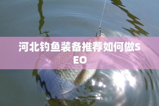 河北钓鱼装备推荐如何做SEO