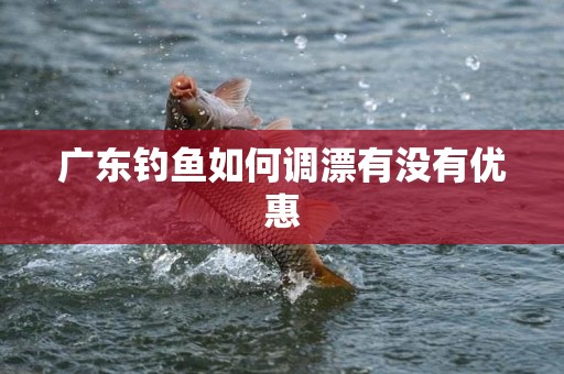 广东钓鱼如何调漂有没有优惠