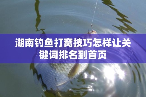湖南钓鱼打窝技巧怎样让关键词排名到首页