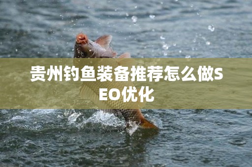 贵州钓鱼装备推荐怎么做SEO优化