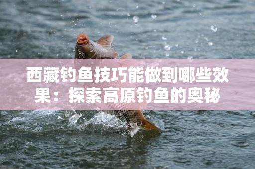 西藏钓鱼技巧能做到哪些效果：探索高原钓鱼的奥秘