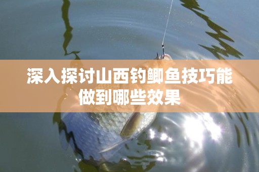 深入探讨山西钓鲫鱼技巧能做到哪些效果