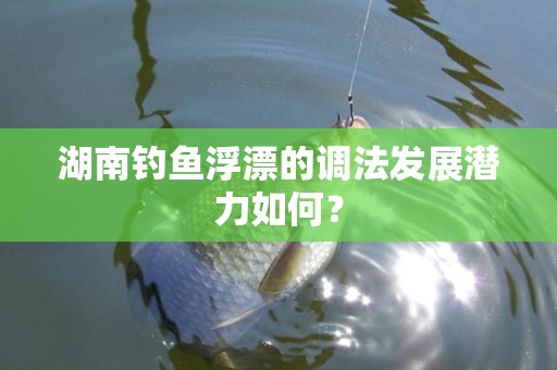 湖南钓鱼浮漂的调法发展潜力如何？
