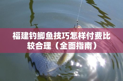 福建钓鲫鱼技巧怎样付费比较合理（全面指南）
