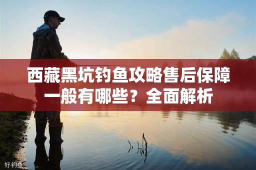 西藏黑坑钓鱼攻略售后保障一般有哪些？全面解析