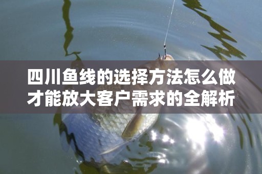四川鱼线的选择方法怎么做才能放大客户需求的全解析
