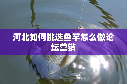 河北如何挑选鱼竿怎么做论坛营销