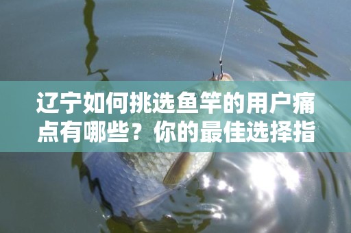 辽宁如何挑选鱼竿的用户痛点有哪些？你的最佳选择指南