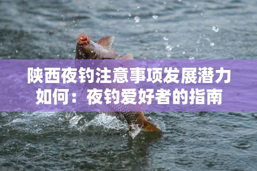 陕西夜钓注意事项发展潜力如何：夜钓爱好者的指南