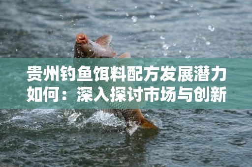 贵州钓鱼饵料配方发展潜力如何：深入探讨市场与创新