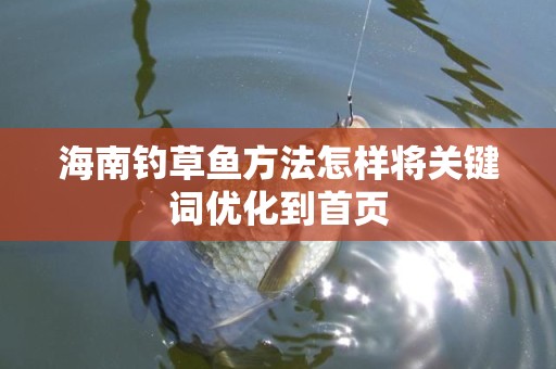 海南钓草鱼方法怎样将关键词优化到首页