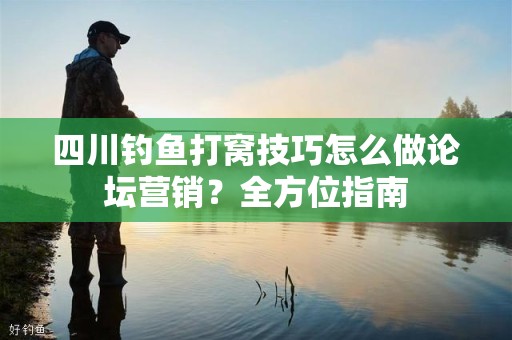 四川钓鱼打窝技巧怎么做论坛营销？全方位指南