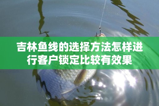 吉林鱼线的选择方法怎样进行客户锁定比较有效果