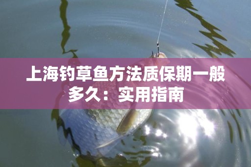 上海钓草鱼方法质保期一般多久：实用指南