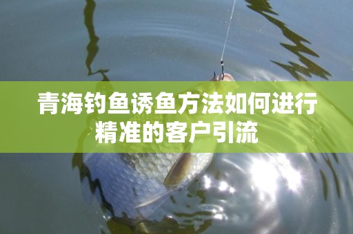青海钓鱼诱鱼方法如何进行精准的客户引流