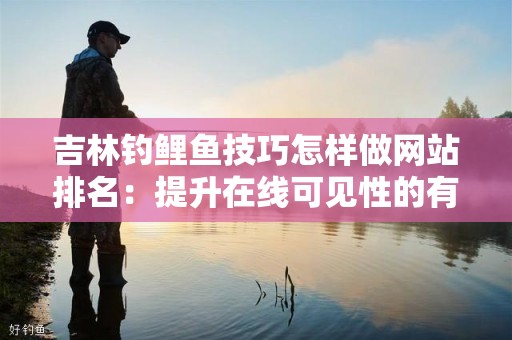 吉林钓鲤鱼技巧怎样做网站排名：提升在线可见性的有效策略