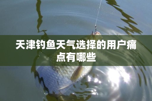 天津钓鱼天气选择的用户痛点有哪些