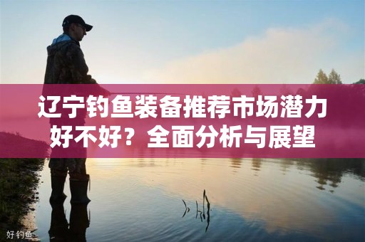 辽宁钓鱼装备推荐市场潜力好不好？全面分析与展望