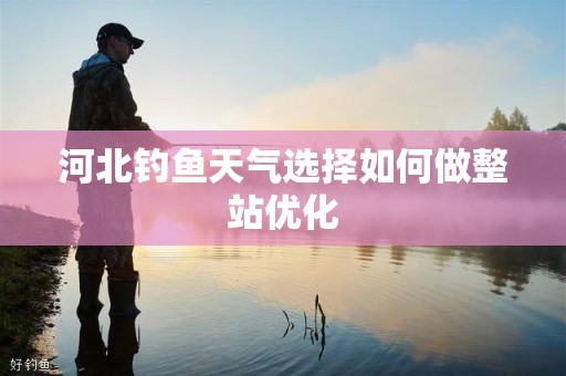 河北钓鱼天气选择如何做整站优化