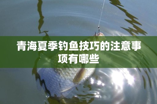 青海夏季钓鱼技巧的注意事项有哪些