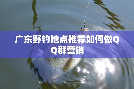 广东野钓地点推荐如何做QQ群营销