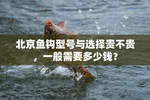 北京鱼钩型号与选择贵不贵，一般需要多少钱？