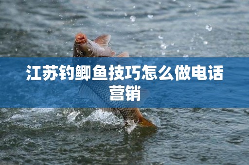 江苏钓鲫鱼技巧怎么做电话营销