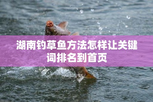 湖南钓草鱼方法怎样让关键词排名到首页