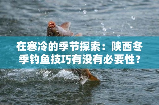 在寒冷的季节探索：陕西冬季钓鱼技巧有没有必要性？