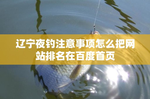 辽宁夜钓注意事项怎么把网站排名在百度首页