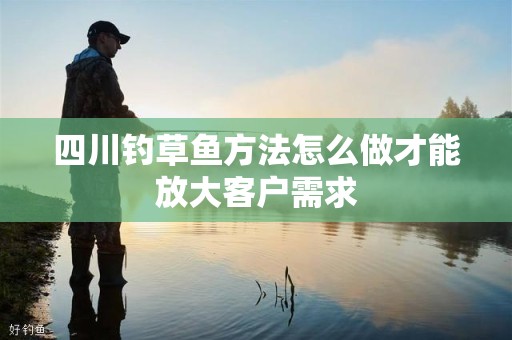 四川钓草鱼方法怎么做才能放大客户需求