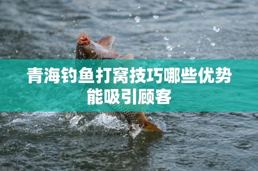 青海钓鱼打窝技巧哪些优势能吸引顾客