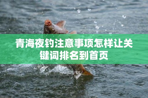 青海夜钓注意事项怎样让关键词排名到首页