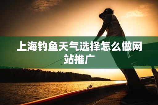 上海钓鱼天气选择怎么做网站推广