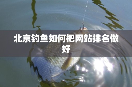 北京钓鱼如何把网站排名做好