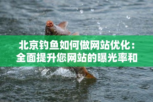 北京钓鱼如何做网站优化：全面提升您网站的曝光率和排名