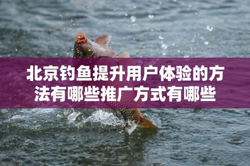 北京钓鱼提升用户体验的方法有哪些推广方式有哪些