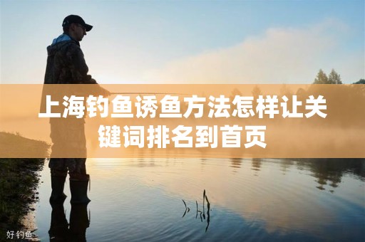 上海钓鱼诱鱼方法怎样让关键词排名到首页