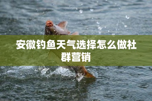 安徽钓鱼天气选择怎么做社群营销