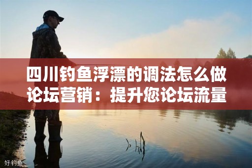 四川钓鱼浮漂的调法怎么做论坛营销：提升您论坛流量的实用攻略