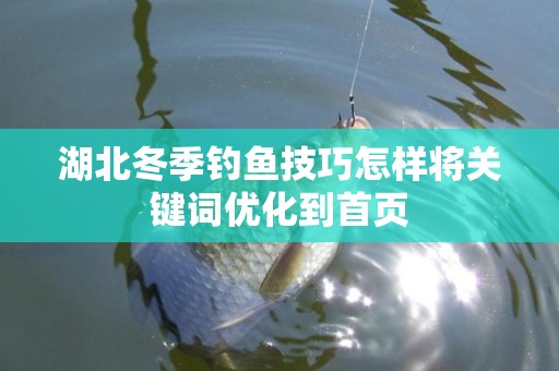 湖北冬季钓鱼技巧怎样将关键词优化到首页