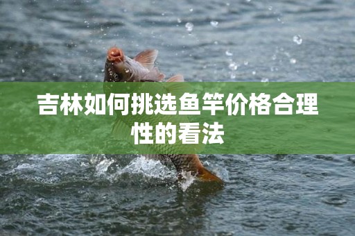 吉林如何挑选鱼竿价格合理性的看法