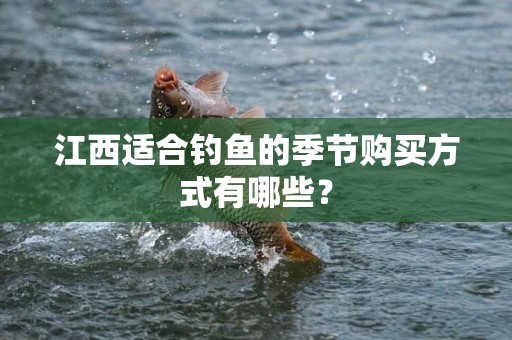 江西适合钓鱼的季节购买方式有哪些？