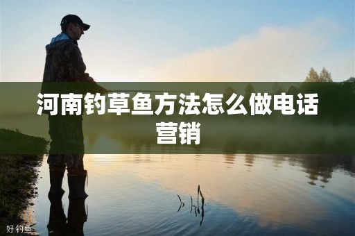 河南钓草鱼方法怎么做电话营销