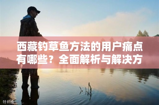 西藏钓草鱼方法的用户痛点有哪些？全面解析与解决方案