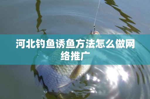 河北钓鱼诱鱼方法怎么做网络推广