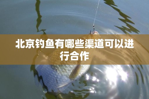 北京钓鱼有哪些渠道可以进行合作