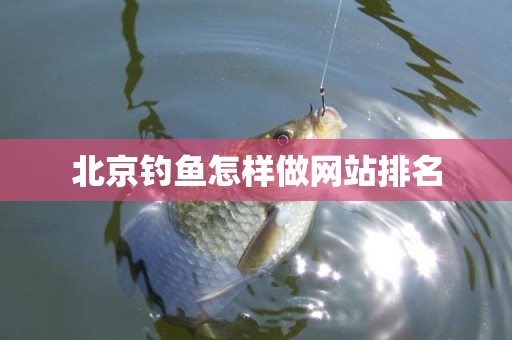 北京钓鱼怎样做网站排名
